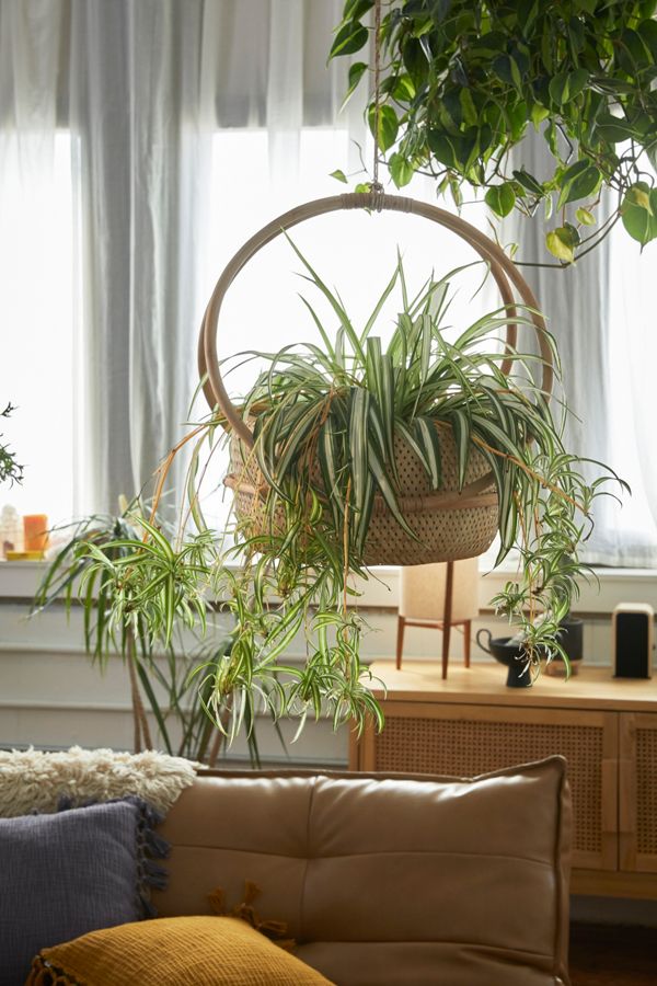 Slide View: 1: Margot Hanging Planter