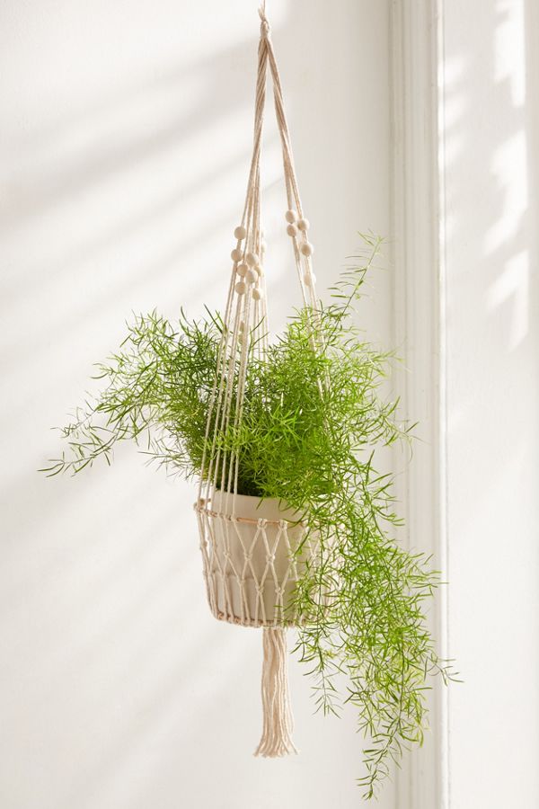 Slide View: 1: Ira Hanging Planter