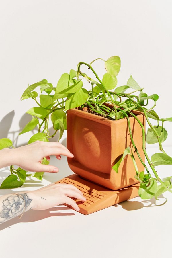 Slide View: 1: Wyatt Little Computer Planter