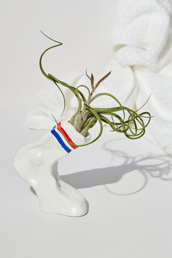 Slide View: 1: Hello Happy Plants For UO Sock Planter