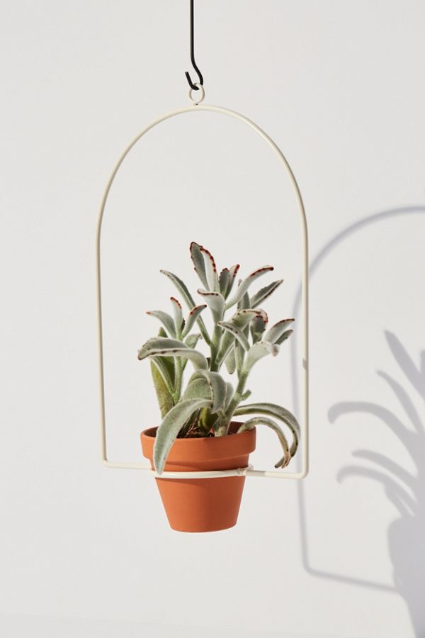 NewMade LA For UO Hanging Planter Urban Outfitters