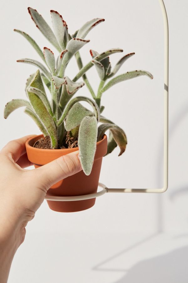 NewMade LA For UO Hanging Planter Urban Outfitters