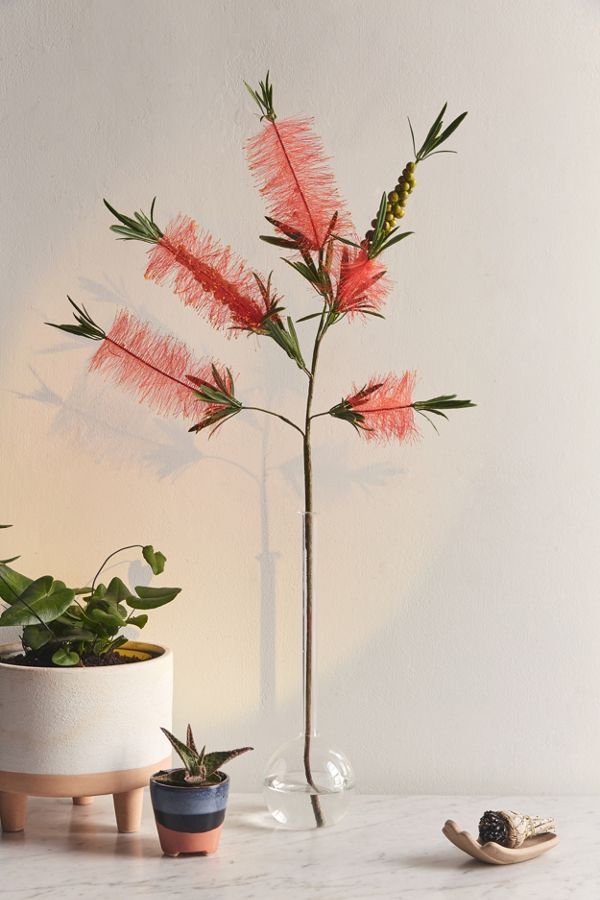 Slide View: 1: Faux Bottle Brush