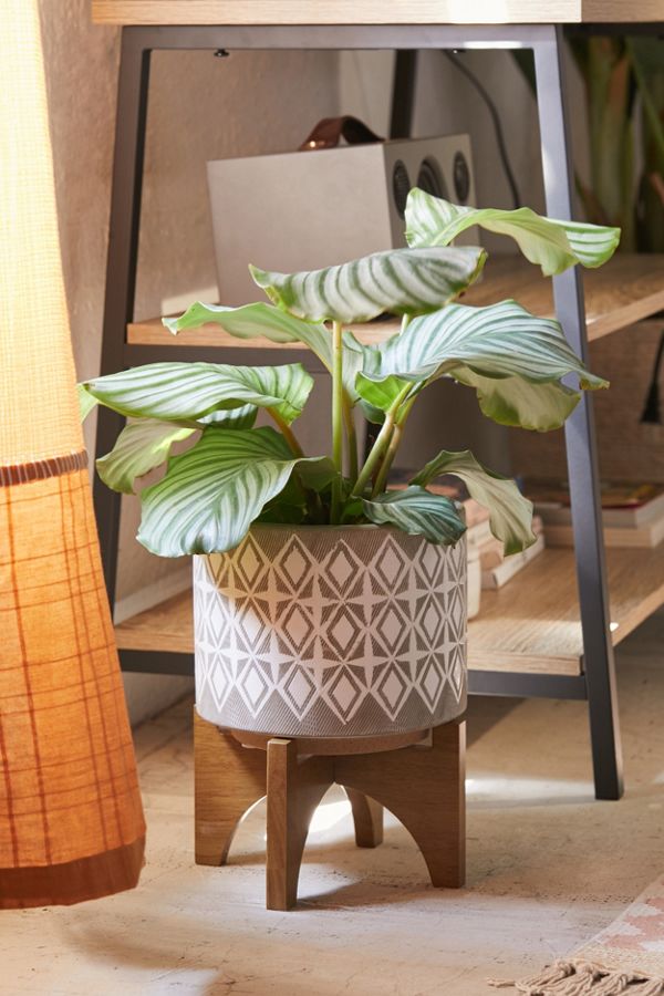 Slide View: 1: Charlee 8" Planter + Stand