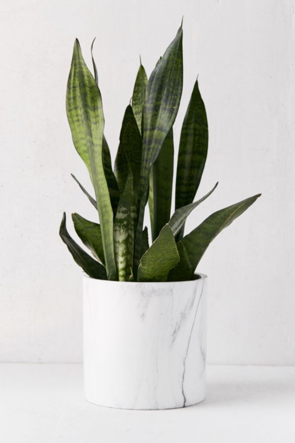 Slide View: 1: Marble 8â€ Planter