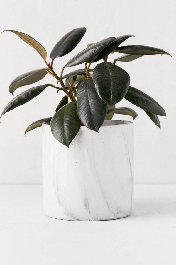 Slide View: 1: Marble 6â? Planter