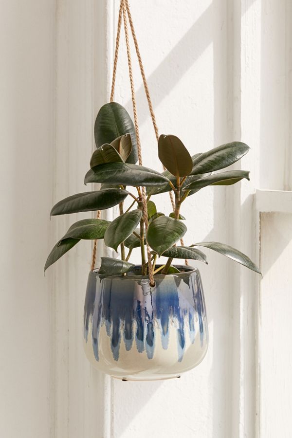 Slide View: 1: Reactive 5â? Hanging Planter