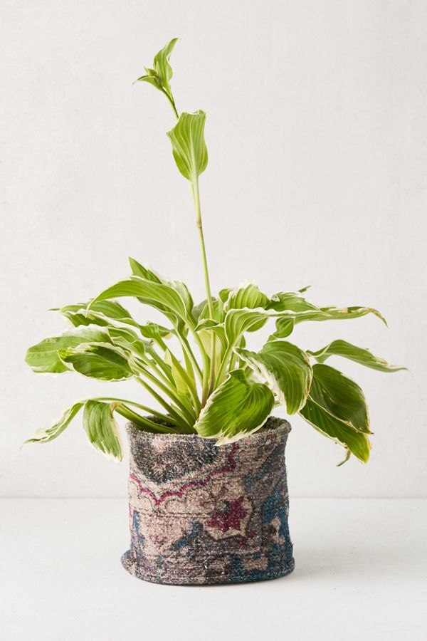 Slide View: 1: Chenille Bucket