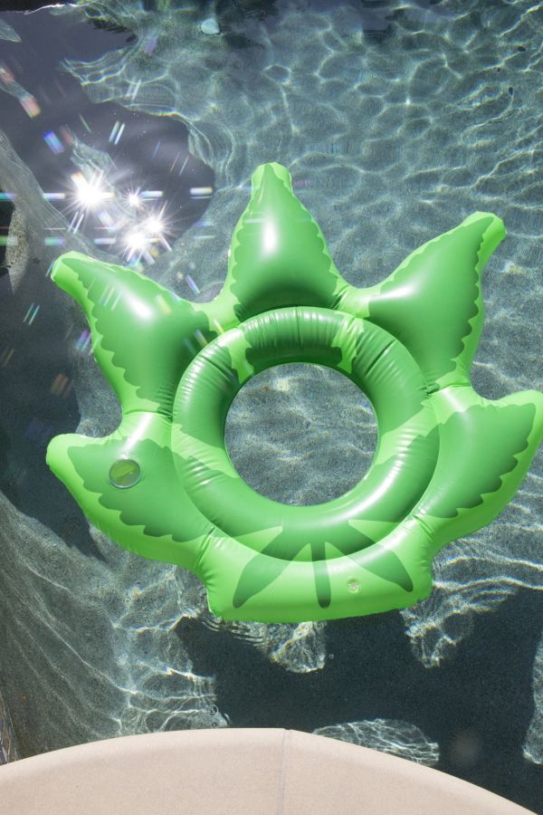 Weed Pool Float