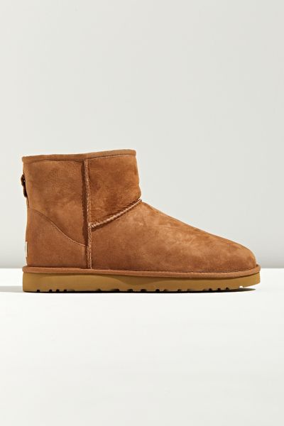 Ugg Biscuit Suede Classic Mini Ii Ankle Boots In Brown