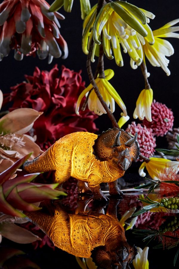 Slide View: 1: Triceratops Light