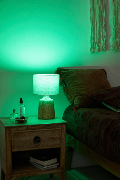 BRILLIANT IDEAS BLUETOOTH SMART LIGHT BULB