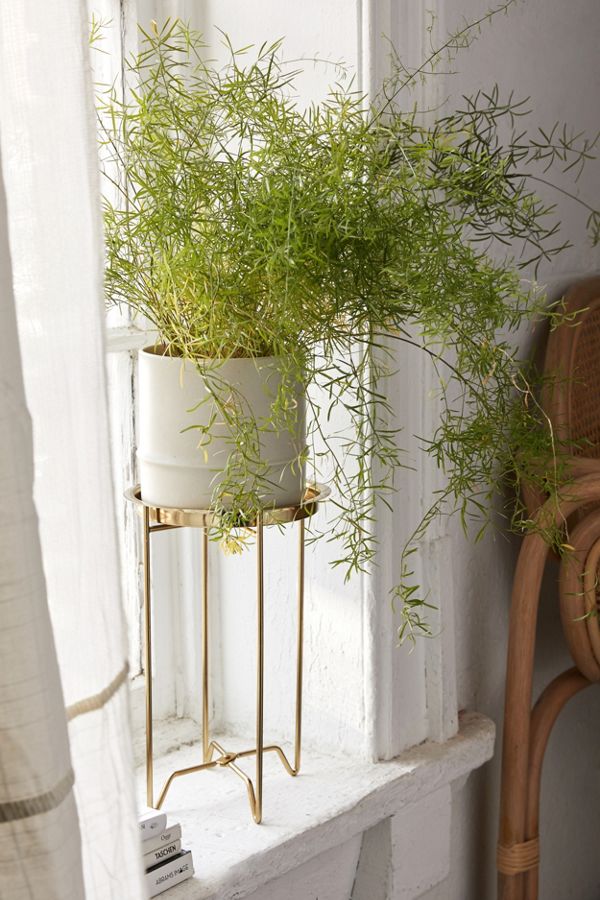 Slide View: 1: Metal Tray Planter Stand