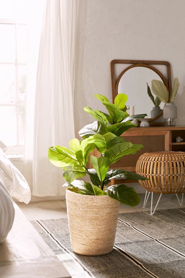 Slide View: 2: Fiddle Leaf Potted Faux Plant