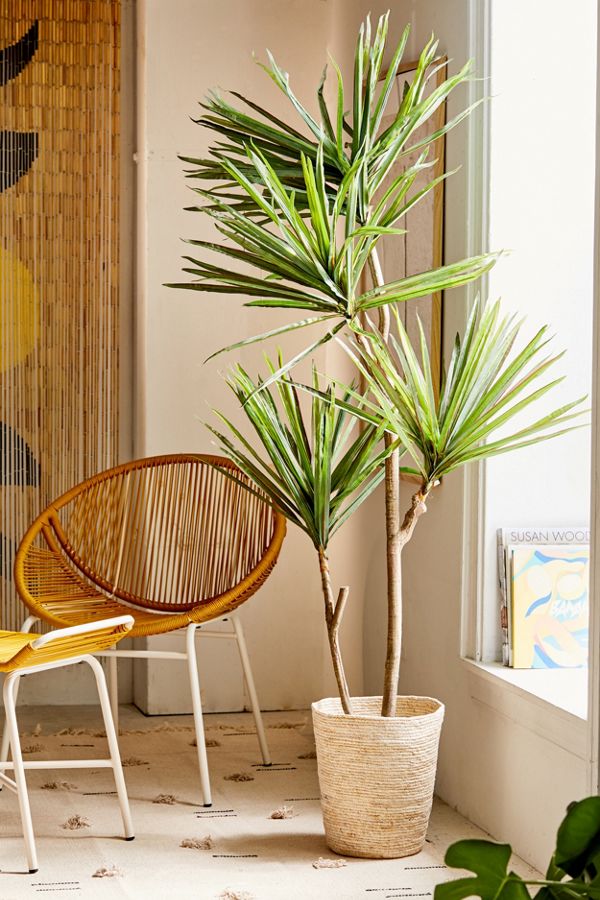 Slide View: 1: Yucca 6â?? Potted Faux Tree
