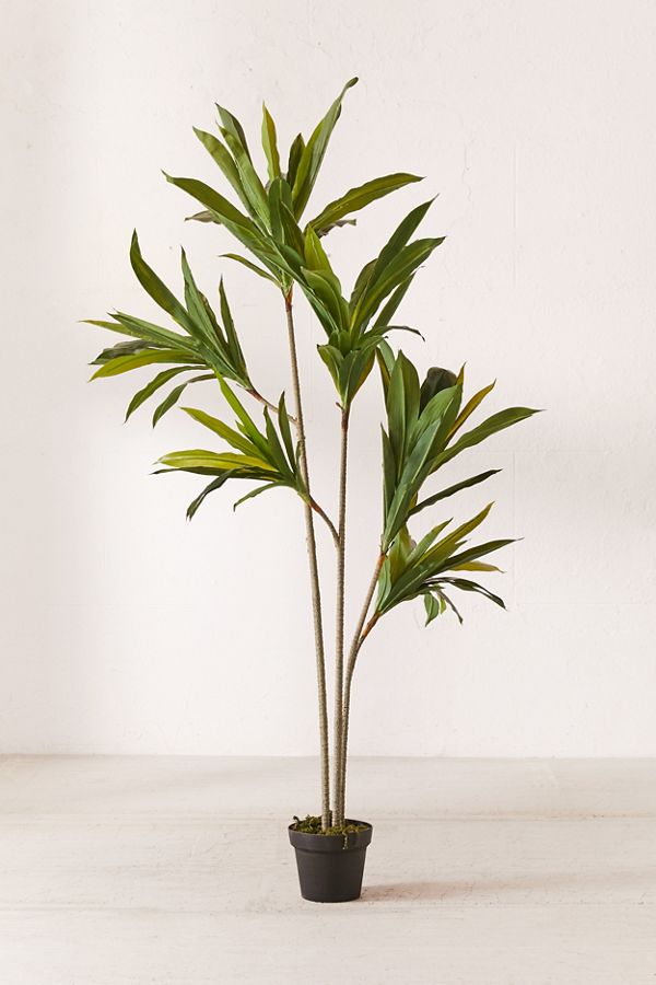 Slide View: 1: Dracena 5â?? Potted Faux Tree