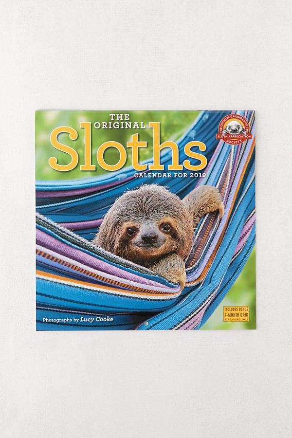 2019 Sloths 12Month Wall Calendar Urban Outfitters