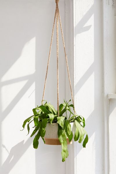 Sandy 8” Ceramic Hanging Planter
