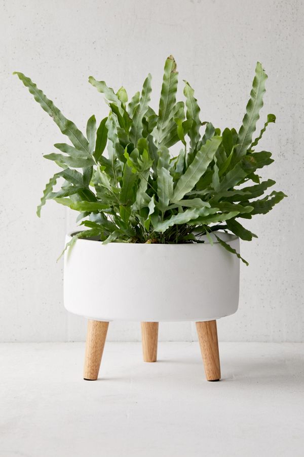 Slide View: 1: Parkview Planter