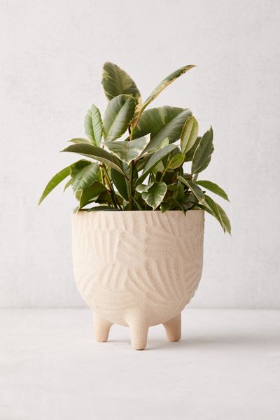 Sita 8” Textured Planter