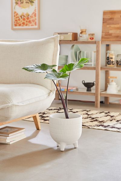 Sita 10” Textured Planter