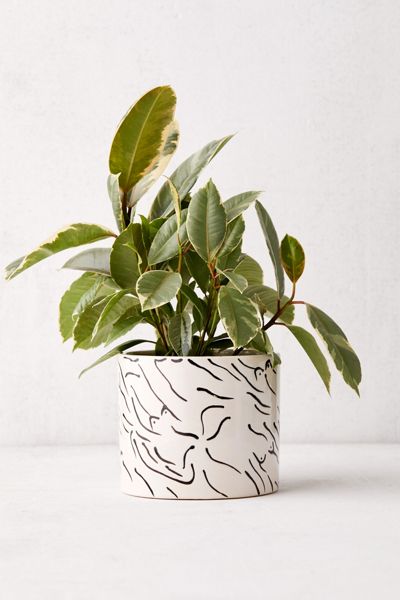 Figure Study 6” Planter