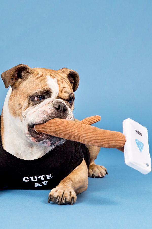 Slide View: 2: BARK Selfie Stick Dog Toy