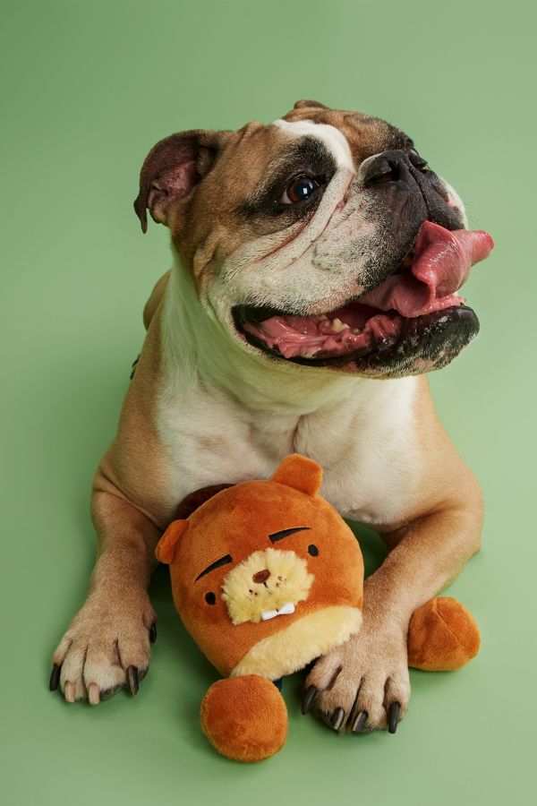 Slide View: 3: BARK Hide-N-Go Zeke Tugimals Dog Toy