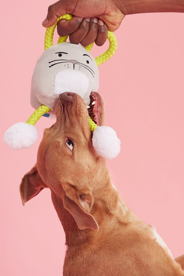 Slide View: 3: BARK Devious Devin Tugimals Dog Toy