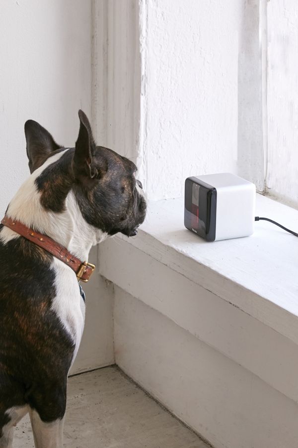 Slide View: 2: Petcube Play Camera