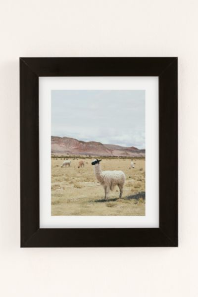 Sisi And Seb Alpaca Art Print