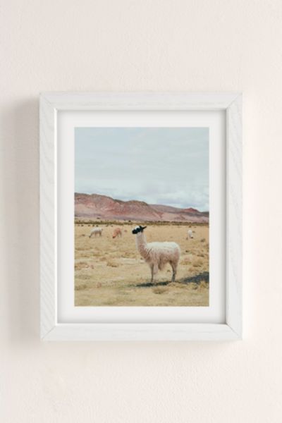 Sisi And Seb Alpaca Art Print