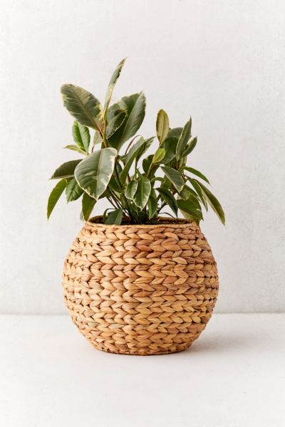 Urban Outfitters Wyn Woven 11" Planter Basket In Natural