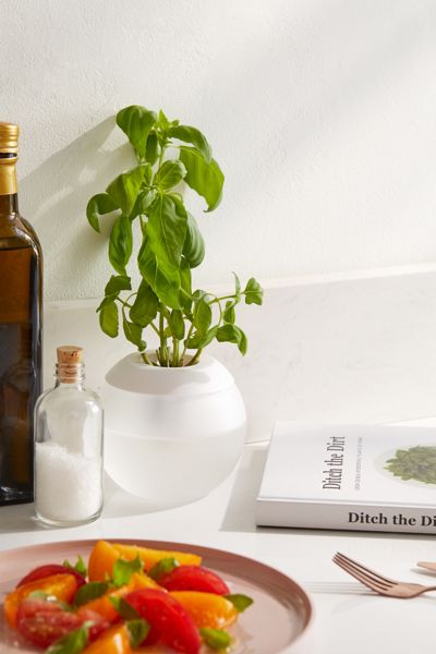 Ditch The Dirt Book + Hydropod Gift Set