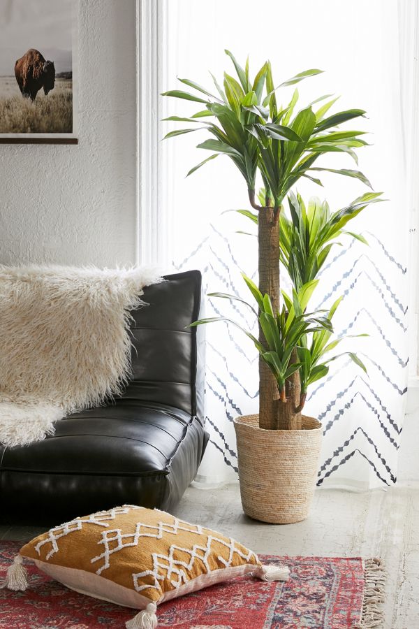 Slide View: 1: Dracena 5 ft Potted Faux Tree