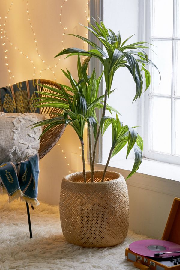 Slide View: 1: Dracena 4 ft Potted Faux Tree