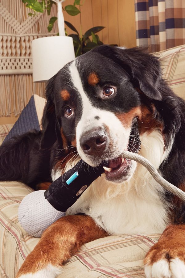 Slide View: 3: BARK Drop the Mic Dog Toy