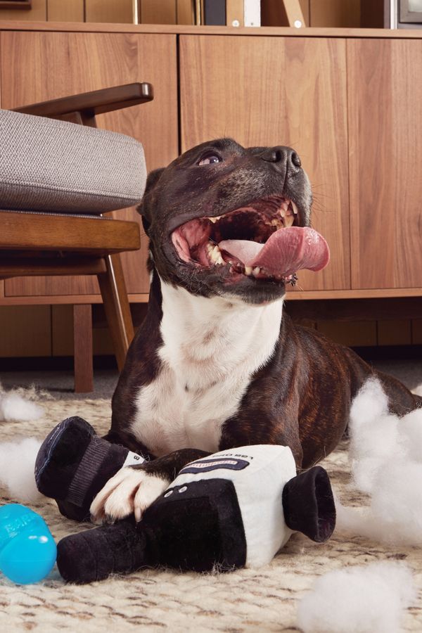 Slide View: 2: BARK Supper Ate Camcorder Dog Toy