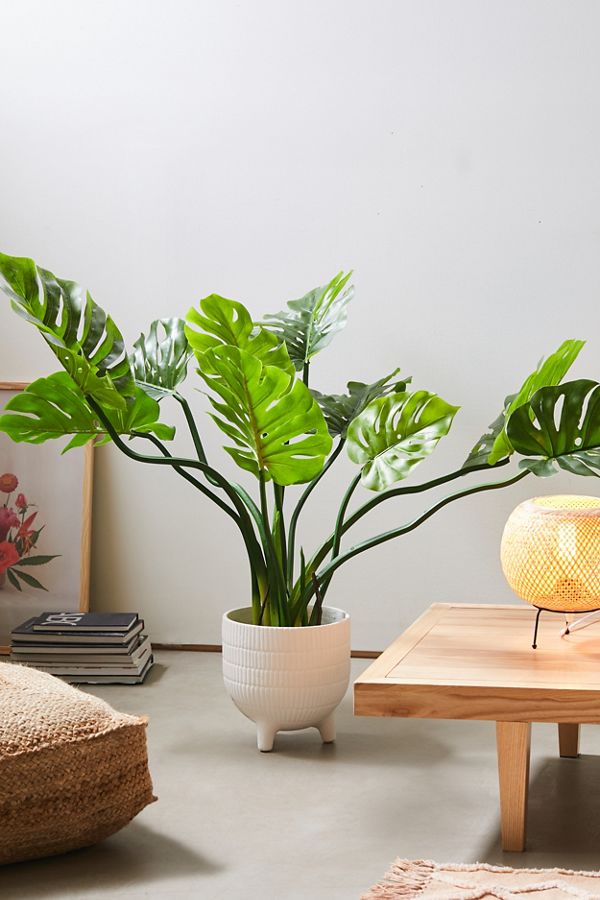 Slide View: 1: Philodendron Faux Plant