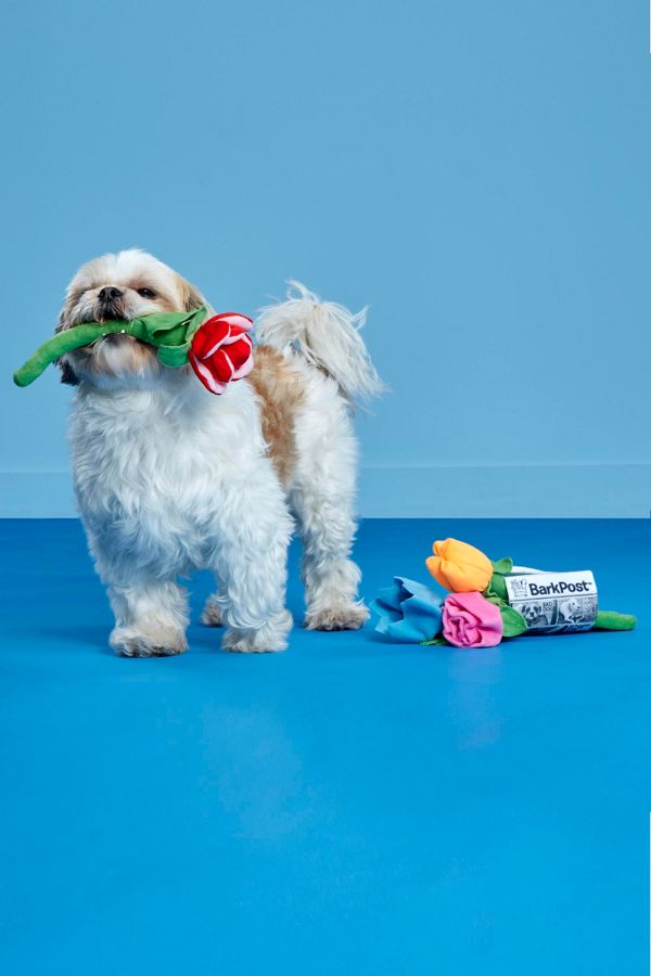 Slide View: 2: BARK Bouquet of Flowers Dog Toy