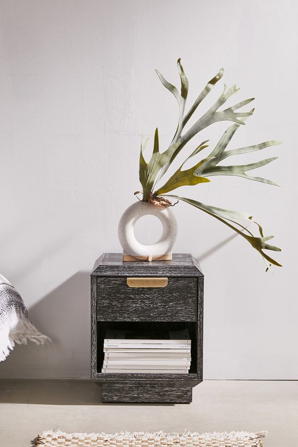 Slide View: 1: Staghorn Faux Plant
