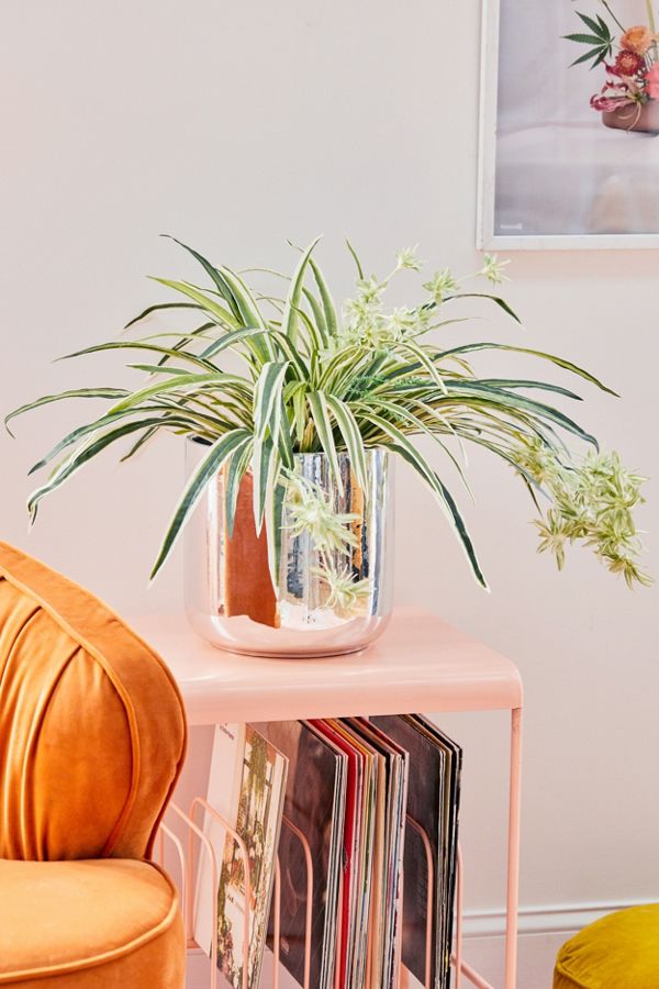 Slide View: 1: Spider Faux Plant