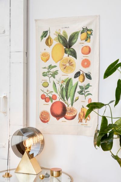 Urban Outfitters Specimen Reference Flag Tapestry In Citrus ModeSens