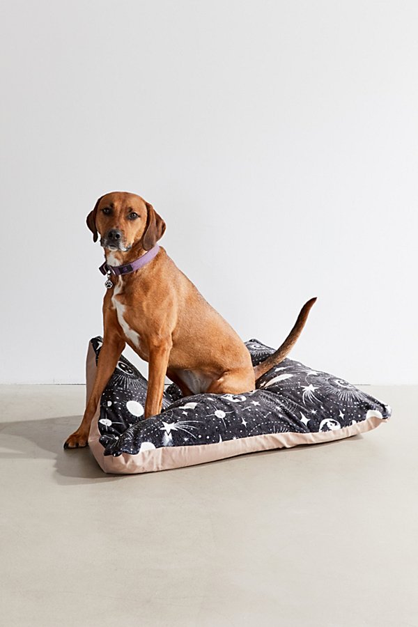 Deny Designs Heather Dutton For Deny Solar System Pet Bed In Black + White