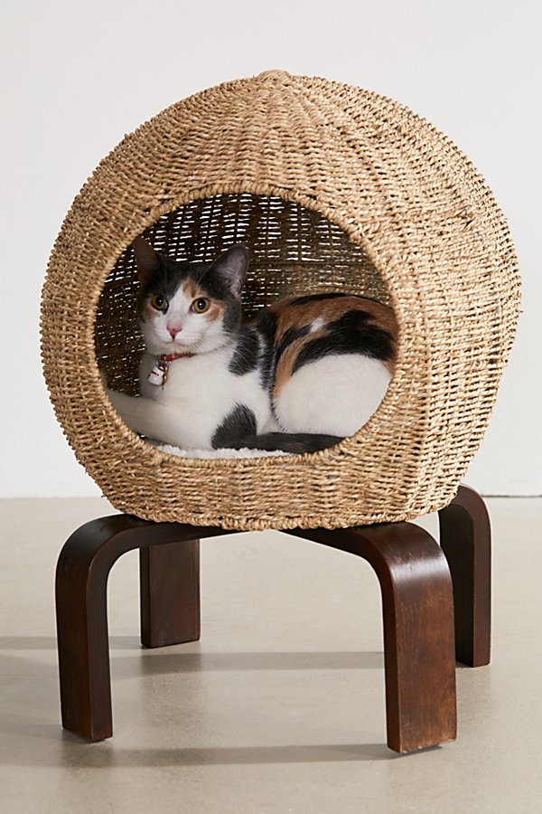Urban Outfitters Cat Pod In Brown