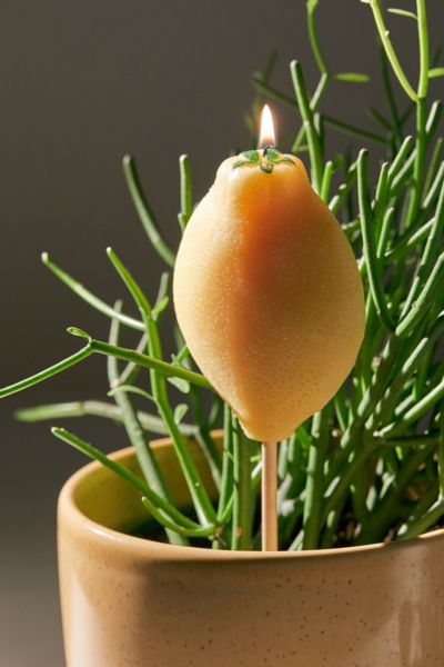 Urban Outfitters Citronella Stick Candle In Lemon