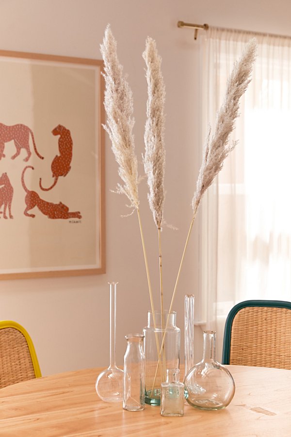Urban Outfitters Dried Pampas Grass Bunch In Natural