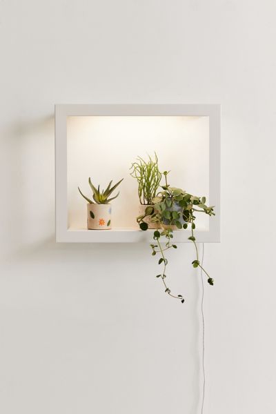 Modern Sprout Growframe In White