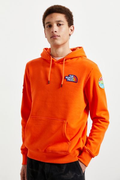 THE NORTH FACE NOVELTY PATCH HOODIE SWEATSHIRT,59481580