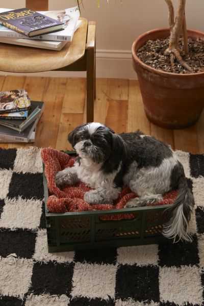 Urban Outfitters Felix Folding Storage Crate In Green